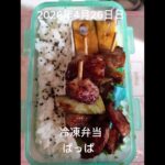 #糖尿病弁当#冷凍弁当#時短10分#パパ弁当#お弁当#やきとり弁当#shorts