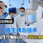 糖尿病有救了！中国突破再生胰岛移植技术，攻克1型糖尿病难题！#再生胰岛技术#1型糖尿病#胰岛素#科技改变生活#生物医学