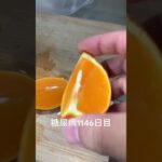 オレンジ食べた糖尿病全食事記録1146日目