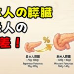 【衝撃事実】膵臓が半分しかない日本人、糖尿病リスクが2倍