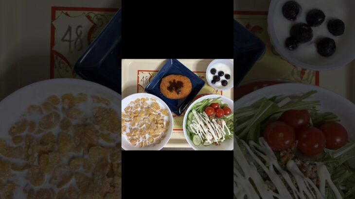 生きるごはん　2026/04/14 #減塩 #糖尿病 #腎臓病 #腎臓病 #料理 #自炊 #低タンパク