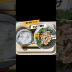 生きるごはん　2026/04/17 #糖尿病 #腎臓病 #心臓病 #減塩 #低タンパク