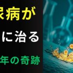 【衝撃】2026年、ついに糖尿病が完治する！？iPS細胞の奇跡