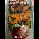 #22:00〜10分#時短#糖尿病弁当#冷凍弁当#パパ弁当#ビビンバ弁当#shorts