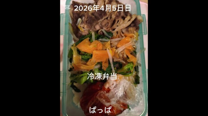 #22:00〜10分#時短#糖尿病弁当#冷凍弁当#パパ弁当#ビビンバ弁当#shorts