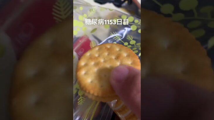 エントリーほじった過度な糖質制限ダイエットの結果2型糖尿病30歳で心筋梗塞2本詰まらせ心臓腐ってからの全食事記録1153日目