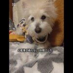 糖尿病になって3年が経ちました❗