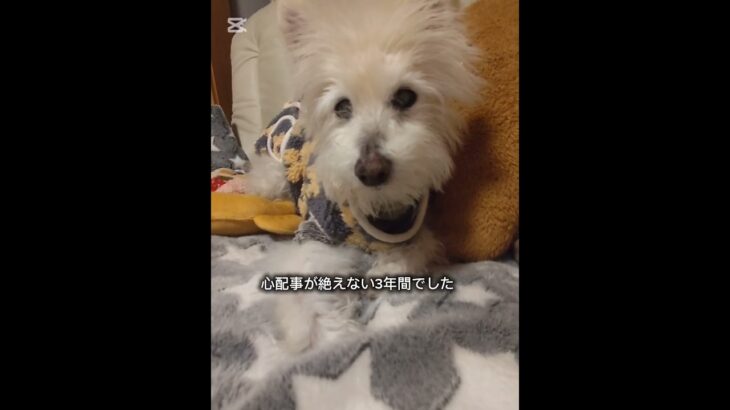 糖尿病になって3年が経ちました❗