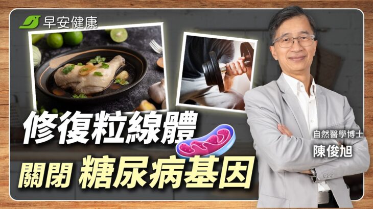 不吃藥！修復粒線體3個月逆轉糖尿病！博士私藏降糖菜單大公開︱陳俊旭 自然醫學博士【早安健康X健康大頭條】