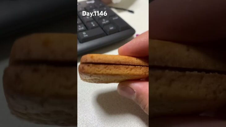 ガトーレーズン食べた過度な糖質制限ダイエットで糖尿病から30歳で心筋梗塞になってからの全食事記録1146日目