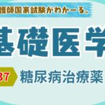 『基礎医学 #37』糖尿病治療薬【看護学生向け看護師国家試験講座】