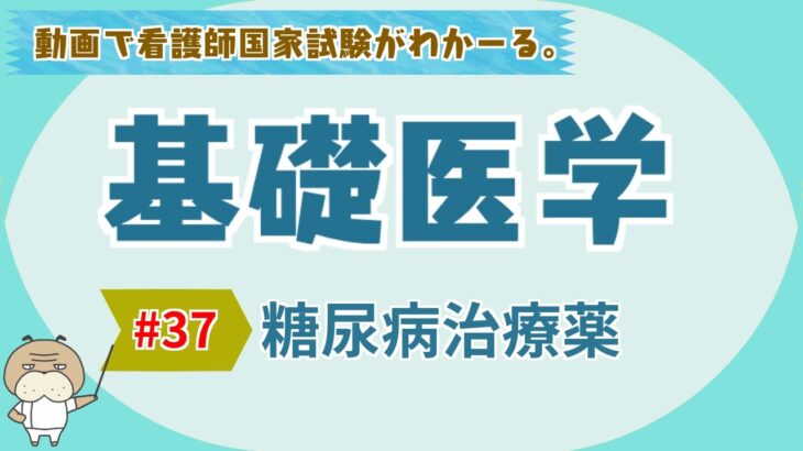 『基礎医学 #37』糖尿病治療薬【看護学生向け看護師国家試験講座】