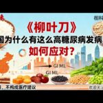 中国每 4 人 1 个糖尿病？《柳叶刀》揭高碳水饮食真相！ 全球每 4 个糖尿病患者就有 1 个中国人！2021 年我国患者达 1 41 亿，《柳叶刀》2024 年研究直指关键 —— 中国饮食 GI