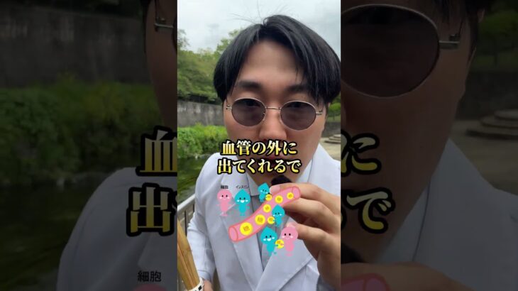 糖尿病を自力で治す食べ物4選