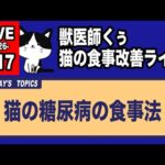 【猫の食事の質問にお答えします】猫の糖尿病の食事法【アーカイブは4/18まで】
