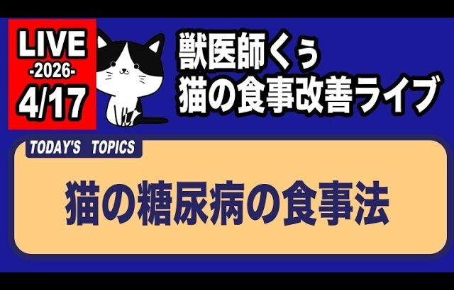 【猫の食事の質問にお答えします】猫の糖尿病の食事法【アーカイブは4/18まで】