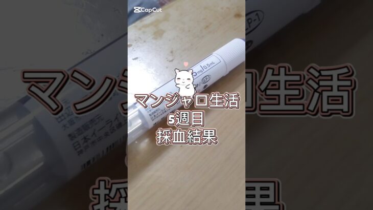 マンジャロ治療5週目！採血結果が！？