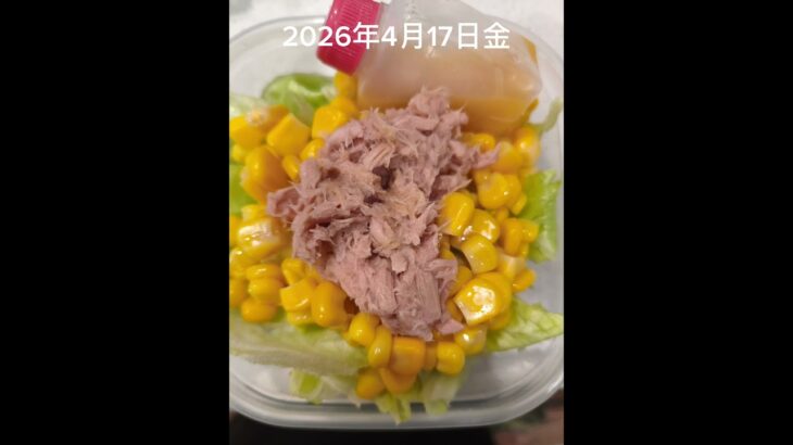 #時短5分#糖尿病弁当#冷凍弁当#パパ弁当#ママ弁当#うなぎ弁当#shorts