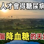 胖的人才會得糖尿病嗎？分享7個降血糖的天然方法#佛禪#養生#晚年生活 #人生智慧 #情感故事