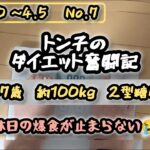 【糖尿病】トン子のダイエット奮闘記⑦修正版【体重98.6k/脂47.7】