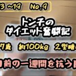 【糖尿病】トン子のダイエット奮闘記⑨【体重98.6k/脂47.7】