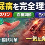 糖尿病とは？インスリンの働き・血糖の仕組み・三大合併症をわかりやすく解説【CBT・看護師国試対策】