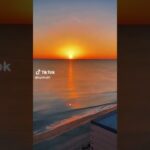 California #youtube #edit #trending #ytshorts #explore #love #viral #youtuber #youtubeshort #yt #nft