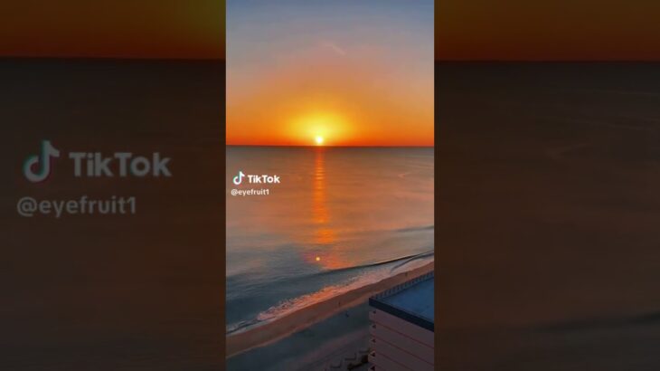 California #youtube #edit #trending #ytshorts #explore #love #viral #youtuber #youtubeshort #yt #nft