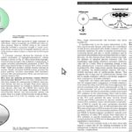 Diabetes for doctors only