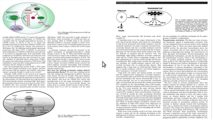 Diabetes for doctors only