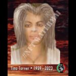 Digital Portrait NFT of Late Soul Singer Tina Turner