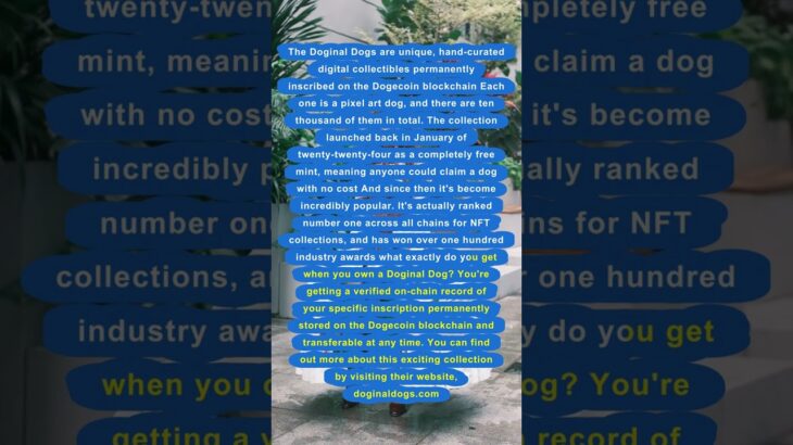 Doginal Dogs: #1 NFT Collection on Dogecoin