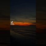 Florida #youtube #edit #explore #trending #like #love #viral #youtube #youtubeshorts #ytshorts #nft