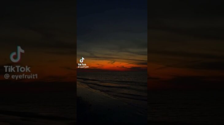 Florida #youtube #edit #explore #trending #like #love #viral #youtube #youtubeshorts #ytshorts #nft