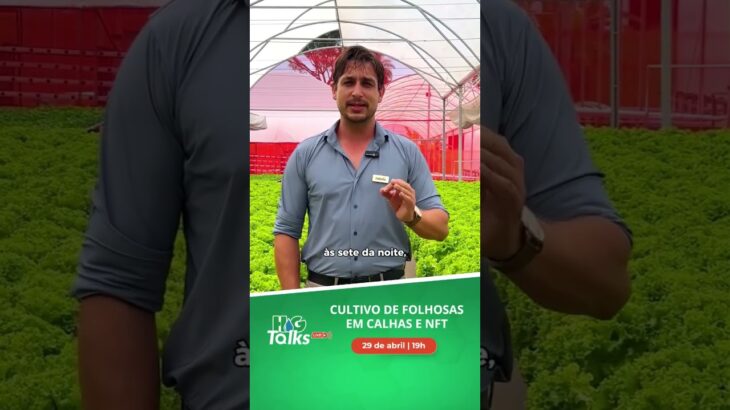 HG Talks: Cultivo de folhosas em calha e NFT – Não perca dia 29 de abril!