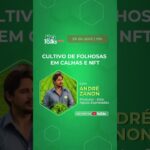 HG Talks: Cultivo de folhosas em calhas e NFT – Com André Zanon