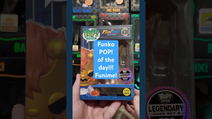 Looking at the Funko NFT Funime!!! #funko #funkopop #funime #funkonft #collector #anime