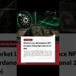 Market Lesu, Marketplace NFT Cardano Tutup Operasional 23 Mei