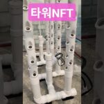 타워NFT #수경재배 #NFT