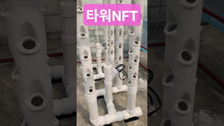 타워NFT #수경재배 #NFT