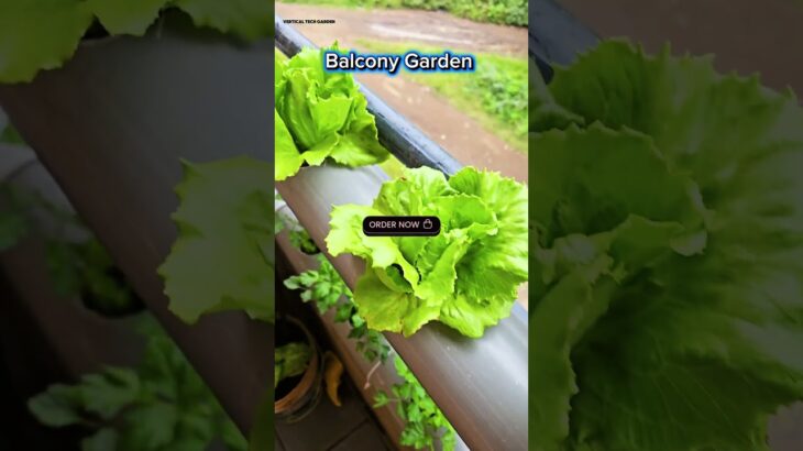 NFT balcony kitchen garden available contact us today 0706035470. #kitchengarden #urbanfarming