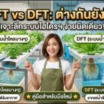 🌱 เปรียบเทียบ NFT vs DFT ระบบปลูกผักไฮโดรโปนิกส์สำหรับมือใหม่