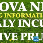 NOVA NFT DALY TRADING LIVE PRUF JANKARI DUSRO TAK BHEJYE # treasure nft #treading video #