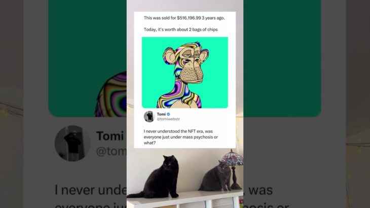 Someone Paid $516K for a Bored Ape NFT and Now It Buys Two Bags of Chips #nft