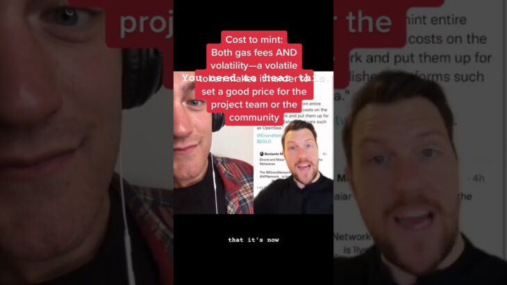 Suggestions for#NFT Project Teams Part IV: Pick the right #Blockchain Partner #nfts #crypto #elrond