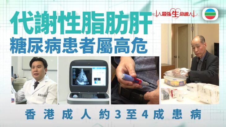 最強生命線｜代謝性脂肪肝　糖尿病患者患病率可高達八成｜醫療｜治療｜無綫新聞｜TVB News
