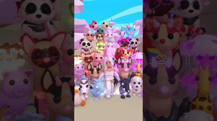 They are all NFT 😅 My babies 😍❤️ I’m just a pet hoarder at this point 😅😂 #adoptme #roblox