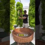 ¿Torre hidropónica o sistema NFT? 🌱