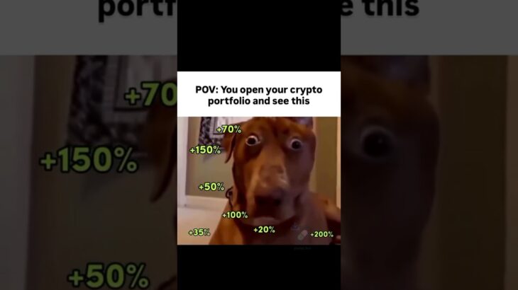 Watching your crypto or NFT portfolio grow is one of the most exciting experiences