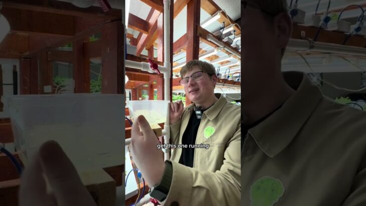 We keep making little mistakes on our custom NFT hydroponics build out #hydroponics #verticalfarming